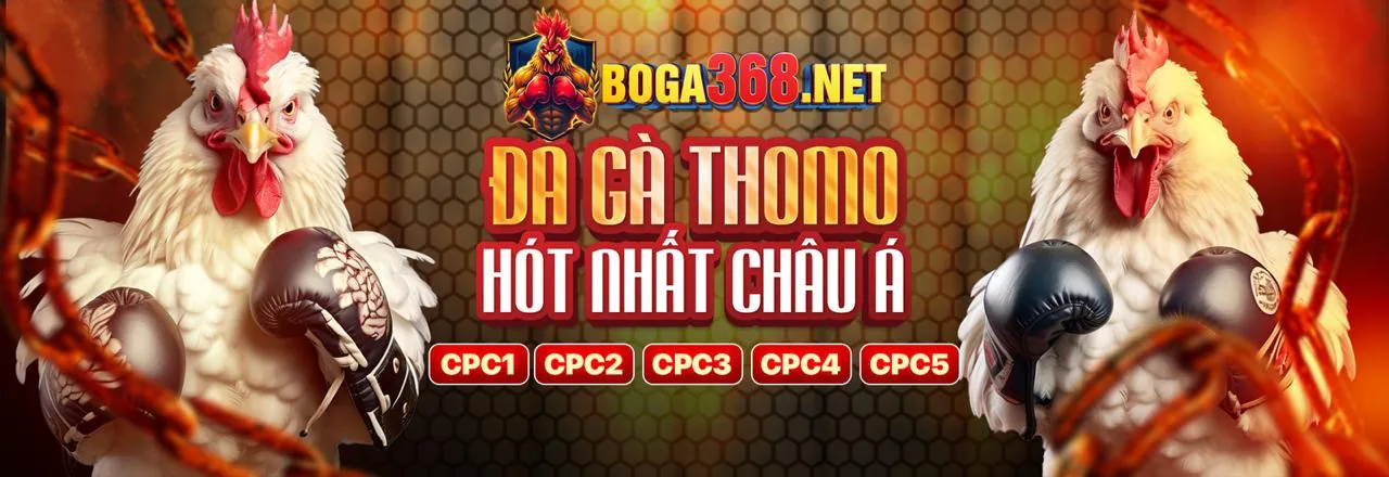 Đá gà trực tuyến hấp dẫn tại Betvision với các khuyến mãi độc quyền