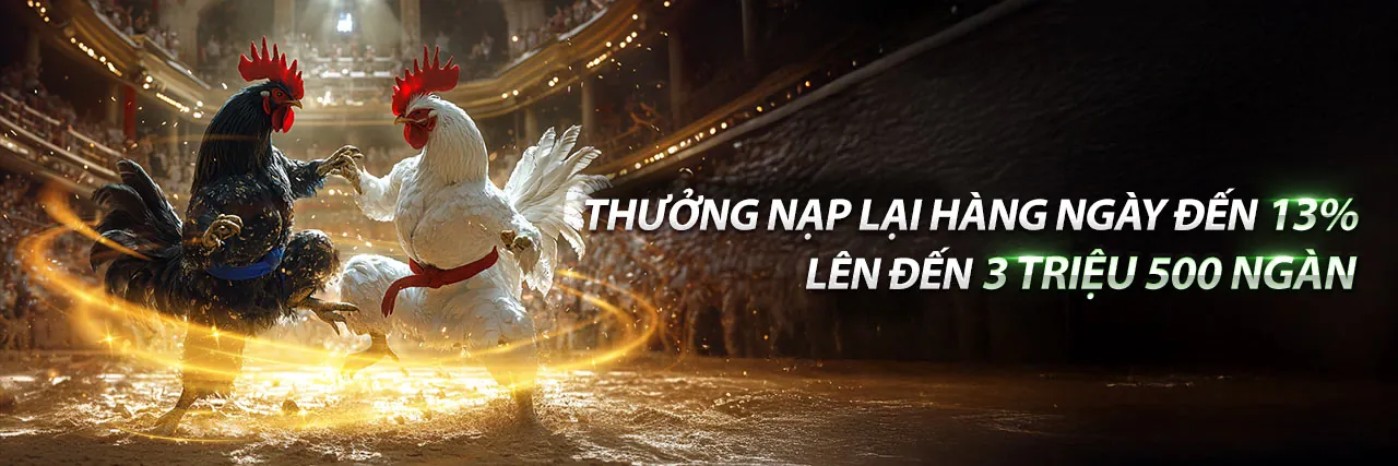 Hình ảnh chào mừng đăng ký Betvision