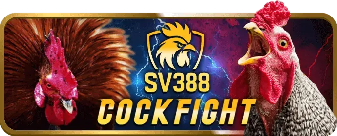 Đá Gà Thomo và Campuchia